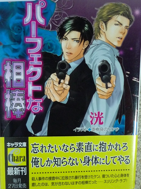 パーフェクトな相棒　光(著)